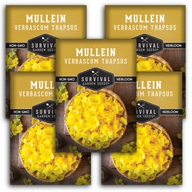 Mullein Seed for Planting - 5 Packets with Instructions to Plant and Grow Medicinal Herb Common Mullein in Your Home Vegetable Garden - Non-GMO Heirloom Variety - Survival Garden Seeds