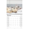Kittens 2026 Full Size Wall Calendar for Planning, Scheduling, and