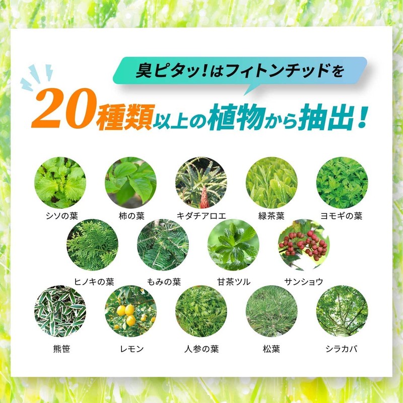 【臭ピタッ！ エチケットサプリ 31粒（31日分）】 サプリ サプリメント フィトンチッド シャンピニオン デオアタック クロロフィル