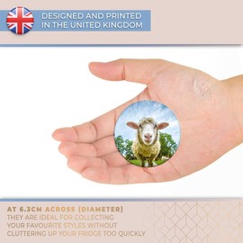 Destination Vinyl ltd Magnet for Refrigerator, Fridge - Cute Sheep Lamb Face Animals Farm for Office, Cabinet and Whiteboard, Magnetic Stickers, 8389