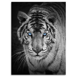 Kinzler Blanket Multi-Coloured 150 x 200 cm