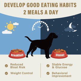 Dog Fed Sign, Dog Fed Magnet with AM/PM Feeding Slider & Custom Notes Area,Pet Feeding Reminder for Family, Easy to Use on Fridge or Wall with Adhesive, Pet Supplies,Matte Black