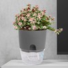 iDattel Herb Pot Kitchen Set, Window Sill, Self-Watering Set of