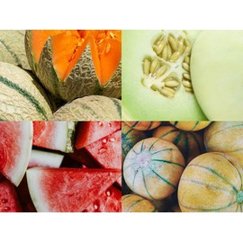 “Vintage Melon Medley” Heirloom Melon Mix Seeds – Wide Variety Heirloom Melon Mix – 5 or More Unique, Curated Varieties per Packet | Always OP | USA Grown Heirloom Seeds by Liliana's Garden |