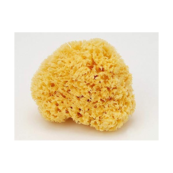 Comolife natural sponge