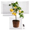 Foyego 4Pcs 15 Gallon Root Guard Baskets for Plants, Underground