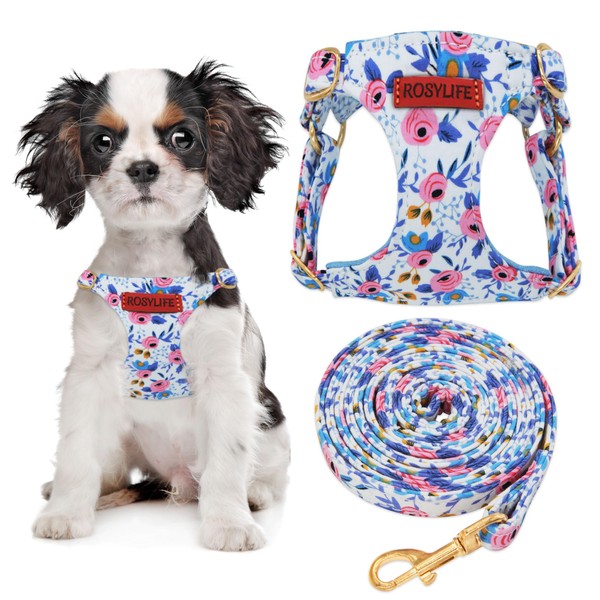 No Pull Dog Harness Adjustable Small Harness and Leash Set,