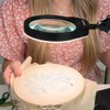 YOCTOSUN 10X Magnifying Glass Lamp with 6 Color Modes Stepless