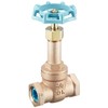 Daiwa Valve, Bronze Gate Valve, 10K Core, 10G-CN15A