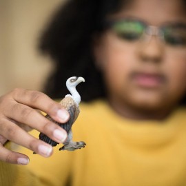Schleich Vulture Figure Realistic Animal Toy For Imaginative Play Ages 3 To 8