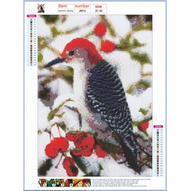 5D DIY Diamond Painting by Numbers Kits Fameless Rhinestone Embroidery Painting Pictures DIY Diamond Art Diamonds Paitning Kit for Adults Diamond Embroidery Mosaic Christmas Bird 30 x 40 cm