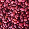 SanMac Hidatsa Red Bean - 10 lb