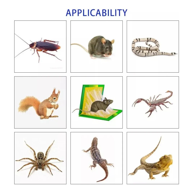 CATCH EXPERT Trampa Pegajosa Grande Ratón Plegable Y Aroma Atrayente