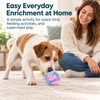 Dog Snuffle Ball for Nose Work – Interactive Treat-Hiding Slow