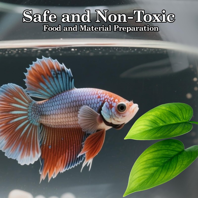 Exircy Betta Fish Toys 2 PCS Betta Fish Leaf Pad