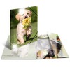 HERMA Elastic Folder Animals with Dogs Motif, A4, Glossy Plastic,