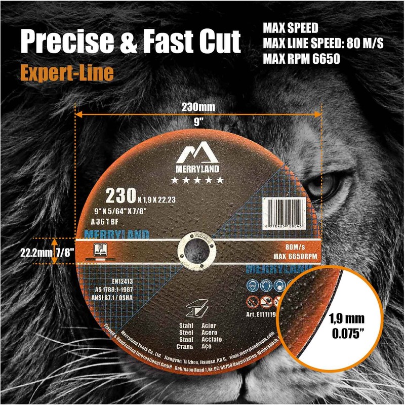Merryland Cut Off Wheel 9 inch for Angle Grinder, Metal