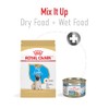 ROYAL CANIN, Puppy - Pug, Croquetas para Perro, 1.1kg