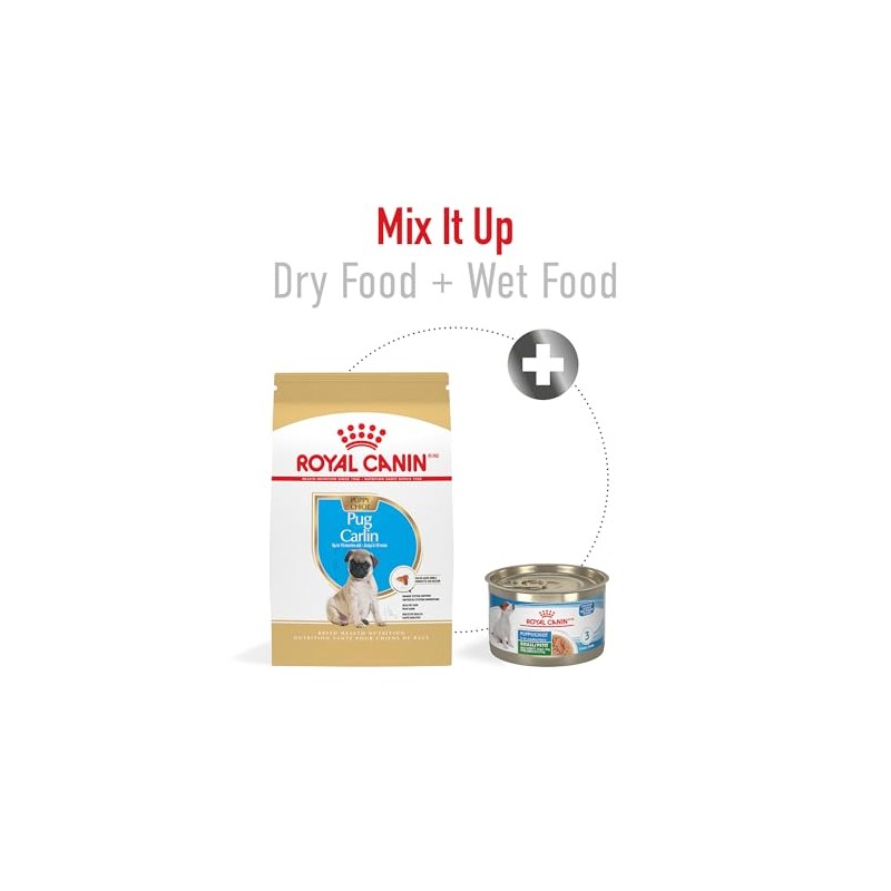ROYAL CANIN, Puppy - Pug, Croquetas para Perro, 1.1kg