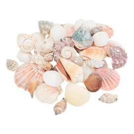 Eurosand Seashell Mix Natural 600 g, Decorative Shells for Maritime Decoration, Crafts, Aquariums, Beach Themes, Table Decoration, DIY Projects
