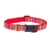 Small Lime/Coral Stripe Dog Collar: 5/8" Wide, Adjusts 10-14" -