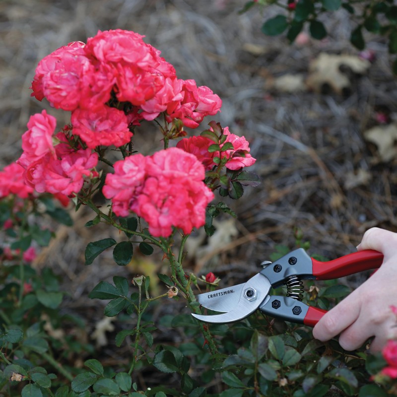 Craftsman 3/4-in. Manual Aluminum Bypass Hand Pruner for Cutting, Trimming