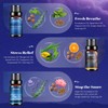 Aeshory Aeshory 6 x 10ml Sleep Essential Oils for Diffusers