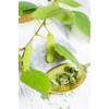 Health Embassy Common Birch Leaf Tea | Betula pendula L