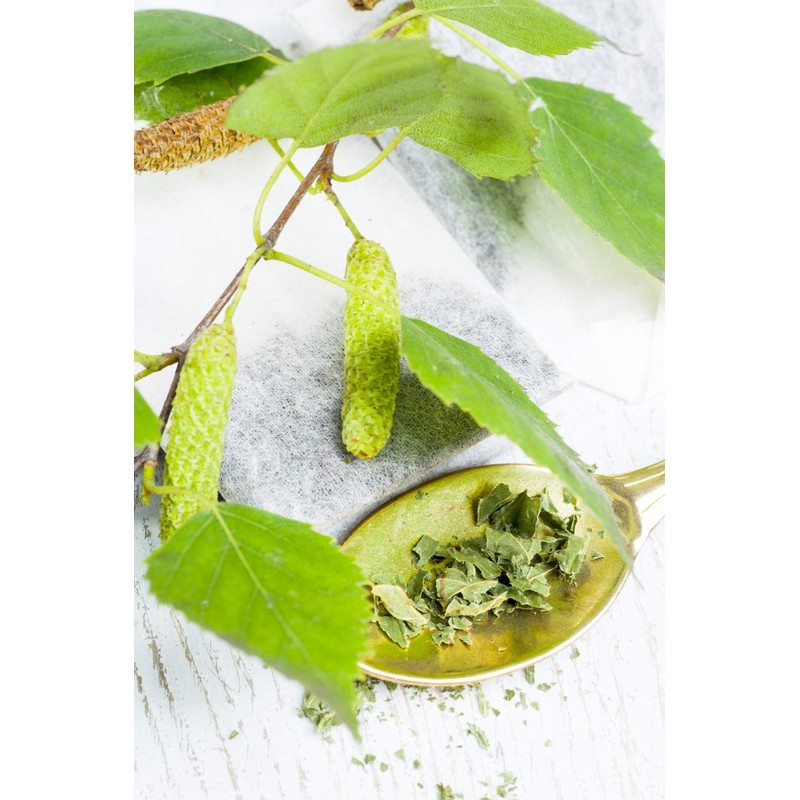 Health Embassy Common Birch Leaf Tea | Betula pendula L