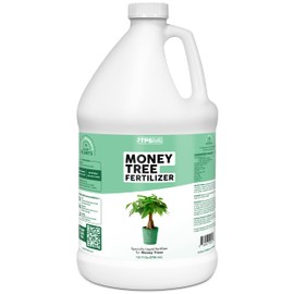 Money Tree Fertilizer for Money Trees and All Pachira Plants, Liquid Plant Food 1 Gallon (128 oz)