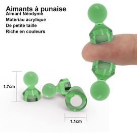 Ant Mag Strong Rare Earth Magnetic Push Pins for Fridge Pabillards White Calendar Cards School and Office Set of 18