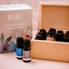 ECO. Modern Essentials Aromatherapist Essentials Box, 12 x 10ml
