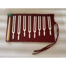 Harmonic Solar Spectrum Set of 8 Tuning Forks with Mallet and Velvet Bag