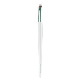 The Face Shop FMGT. Eye Shadow Point Brush,