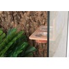 CRITTZOO Crested Gecko Feeding Ledge with 10PCS Gecko Food Dish