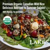 Thousand Lakes Organic Canadian Wild Rice - Premium - Bulk