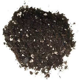 CZ Grain Bonsai Tree Soil All Purpose Blend - 6 Quarts - CZ Grain Brand 100% Organic All