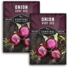 Ruby Red Onion Seeds for Planting - 2 Packets with Instructions to Plant and Grow Long Day Slicing Onions Your Home Vegetable Garden - Non-GMO Heirloom Variety - Survival Garden Seeds