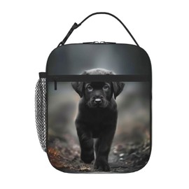 SARA NELL Dog Insulated Lunch Bag Black Labrador Dog Puppy Lunch Box for Women Men Teens Kids, Reusable Lunch Tote Bag, Leakproof Thermal Insulated Lunch Bags for Work, Picnic, School or Travel