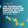 PROVOKE PROVOKE Hair Colour Remover, Max Strength Removes Permanent Hair