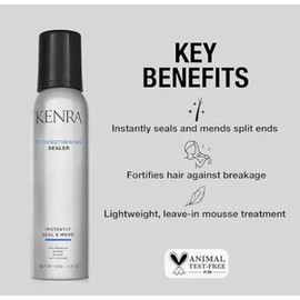 Kenra Strengthening Sealer Anti-Breakage Mousse 5 oz New Seal & Mend