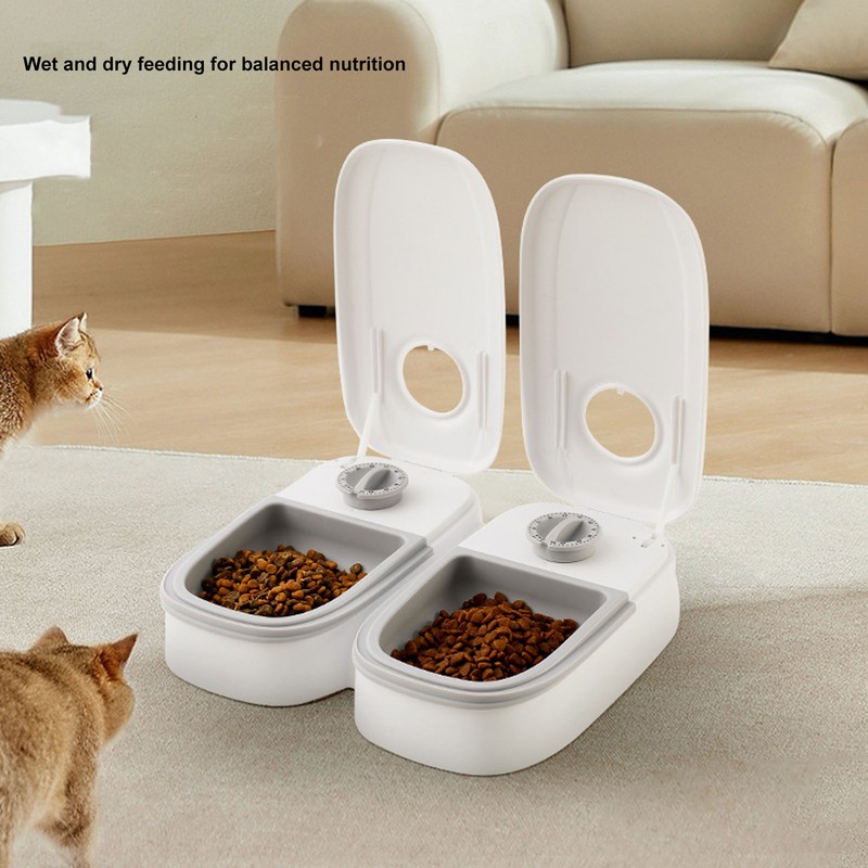 2 Meal Automatic Pet Feeder Large Capacity Smart Timed Dry