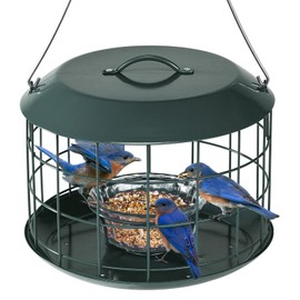 Kingsyard Bluebird Feeders for Outdoors Hanging, All Metal, Cage Bird Feeder with Tray, Squirrel Proof & Weatherproof, Easy to Refill & Clean (Green)