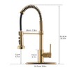 AIMADI Gold Kitchen Faucet with Pull Down Sprayer,Commercial Single Handle