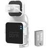 256GB Blink USB Flash Drive and Blink Sync Module 2