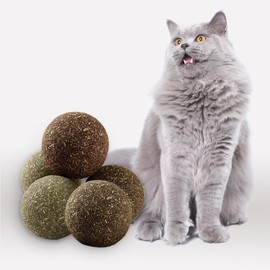 Eaireys Natural Catnip Toys for Indoor Cats Interactive Cat Nip Balls, 5Pcs, 2 Catnip, 2 Silvervine, and 1 Gall Fruit Ball