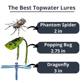 LUNKERHUNT Top Water Fishing Lures | Baits for Bass Fishing | Realistic Fishing Bait with Resistent Skirts | Weedless bass Fishing Lures for Freshwater and Saltwater | Easy to Use. (Bug Combo)