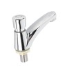 Time Delay Basin Sink Faucet Copper Alloy Push Switch Water