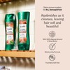 Suave Suave Moisturizing Shampoo With 100% Natural Almond & Shea
