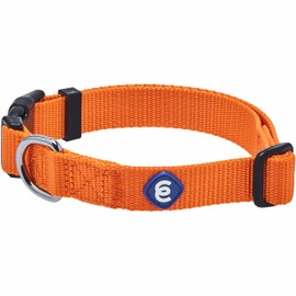 Blueberry Pet Essentials Matching Small Dog Collar | Adjustable Classic Solid Color Nylon Dog Collars for Small Dogs | Orange Vermilion Dog Collar for Small Dogs